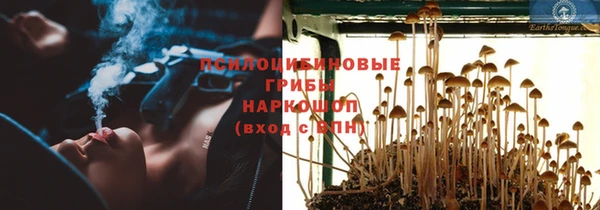 стафф Баксан
