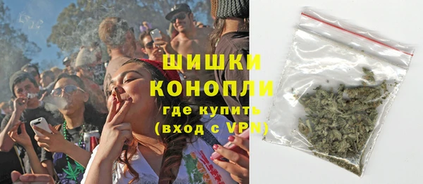 гидра Балахна