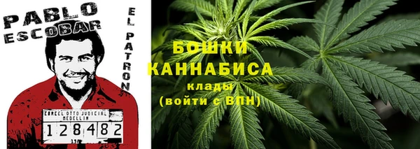 гидра Балахна