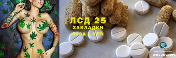 стафф Баксан